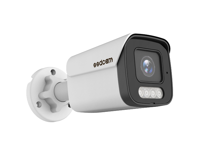 IP видеокамера IP-129FC v.2